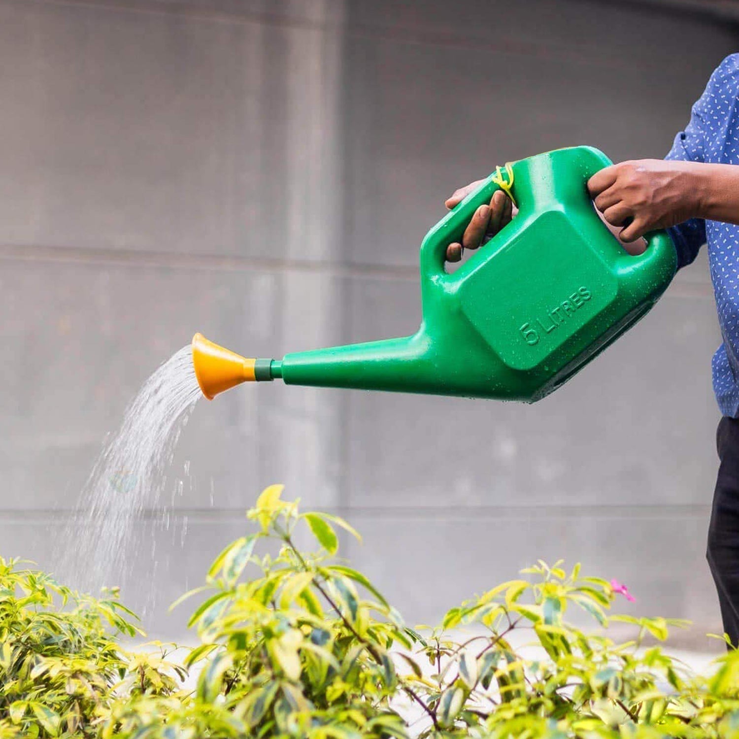 9021 Plastic Watering Can Water Sprayer Sprinkler for Plants Indoor Outdoor Gardening, 5 LTR DeoDap